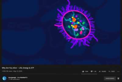 The best moment in the whole of Kurzgesagt's history