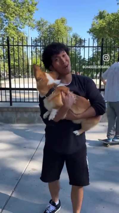NOOO!!
