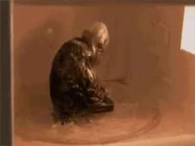 N&oslash;k&icirc;&auml;, The Suffering Spirit.