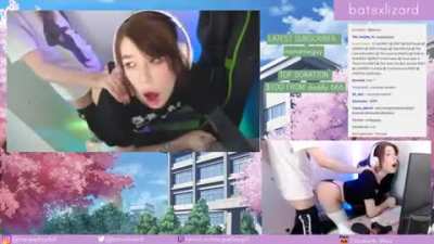 [/r/G<wbr>ifUni<wbr>verse<wbr>] Twitch streamer caught fucking
