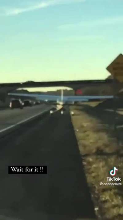 Man lands airplane on highway just to pee