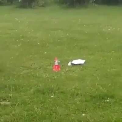 Homemade rocket launch