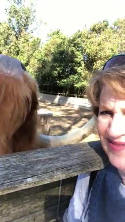 My Mom&rsquo;s new friend