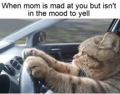 Awkward silence fills the air