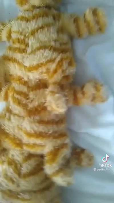 i can&rsquo;t help it, i&rsquo;m a slave to my passions (@pyriteplates on tiktok)