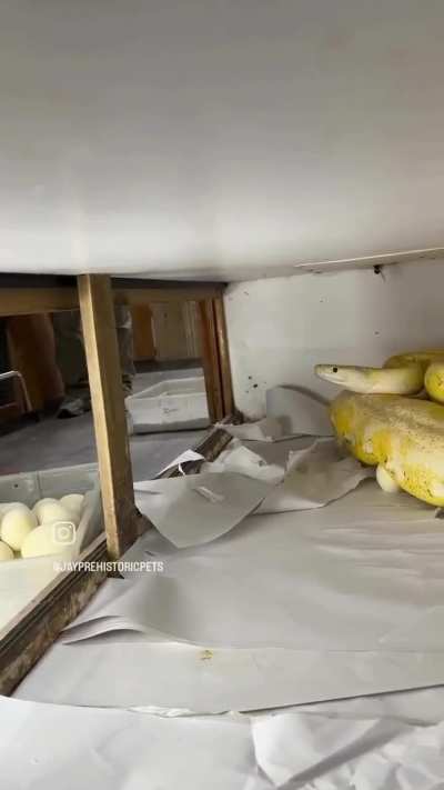 Maybe maybe maybe