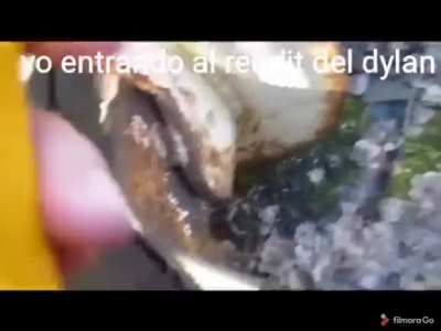 Esta bien "Radioactivo" este reddit xd