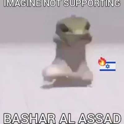 Al Lizard shows his support for Assad