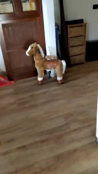 Hi, I never posted on Reddit before, but now I decided to share with you this little video that I made many days ago. I was alone, at ground floor, loading washing machine, then I heard something weird from the first floor. It happens two times, but at la