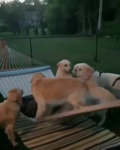 To relax