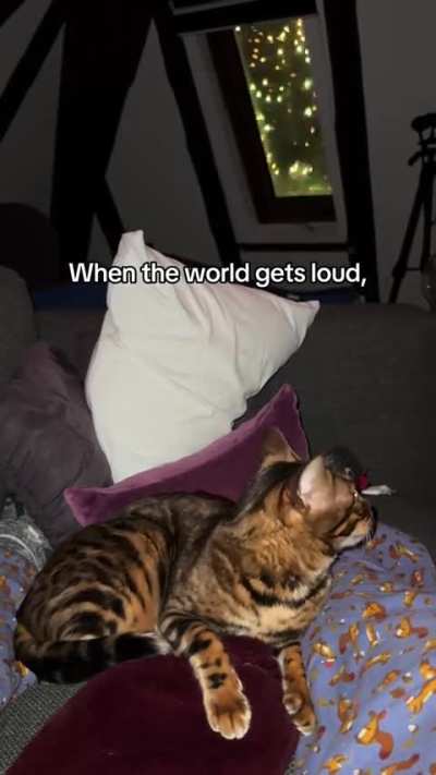 New Year&rsquo;s Eve with our blind cat.