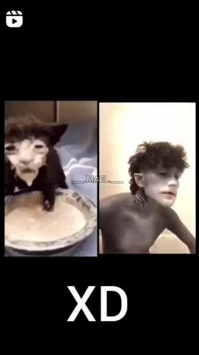 XD