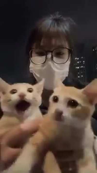 Wunktosis
