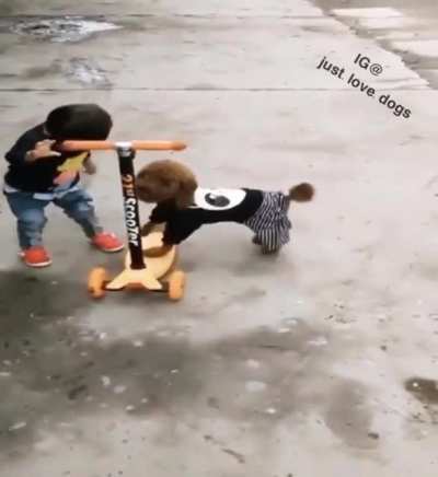 Let me try it!