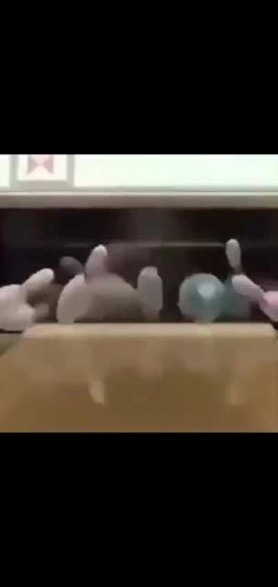 Nice C0ck bro