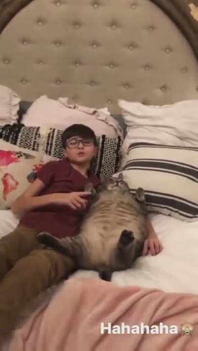 (ﾟ&omega;ﾟ)
