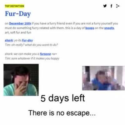 on December 20th if you have a furry friend even if you are not a furry yourself you must do something furry related with them. This is a day of boops on the snoots, art, and soft fur fun!