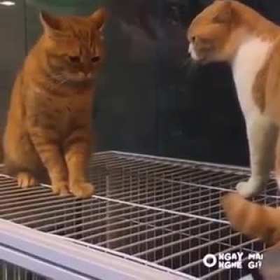 When your mom scolds you