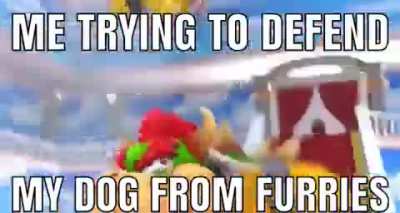Always watch out for your pets. You never know when a furry will strike!!!