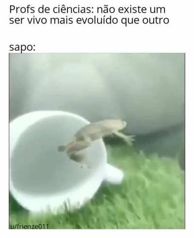 Um t&iacute;tulo interessante