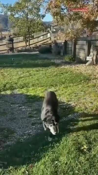 Don&rsquo;t worry, he took him to live