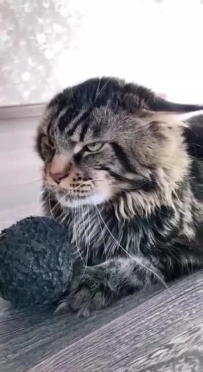 Scary stare