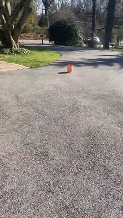 When see pot in golden trophy