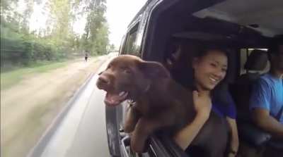 Woof_irl