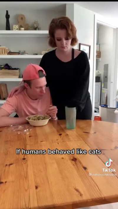 If humans behaved like cats