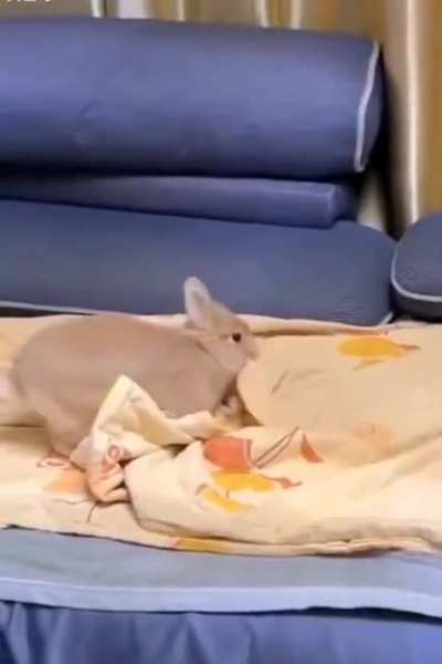 Tuck in and nap