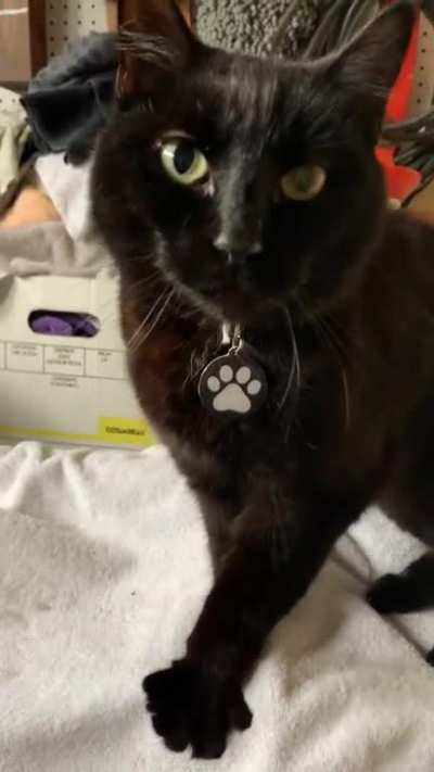 He&rsquo;s just BEGGING