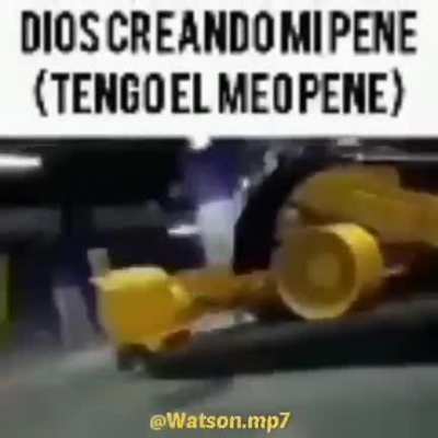 agradecido