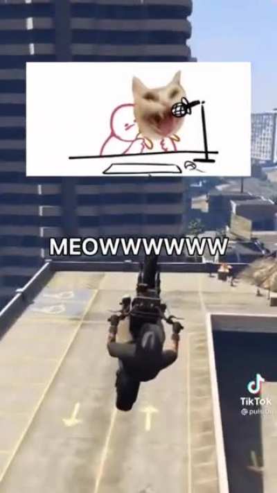 MEOW