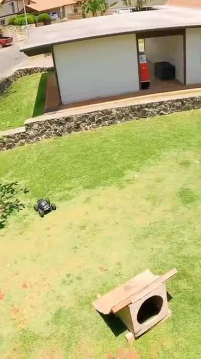 Sick Tricks