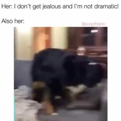 Ok ok that&rsquo;s enough!