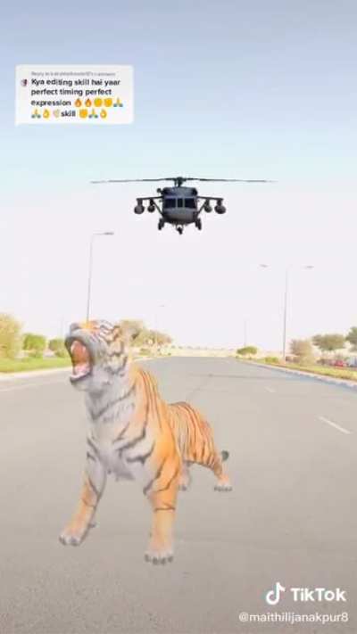 I can&rsquo;t describe this action scene