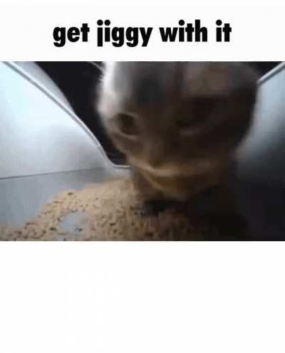 3rd time posting