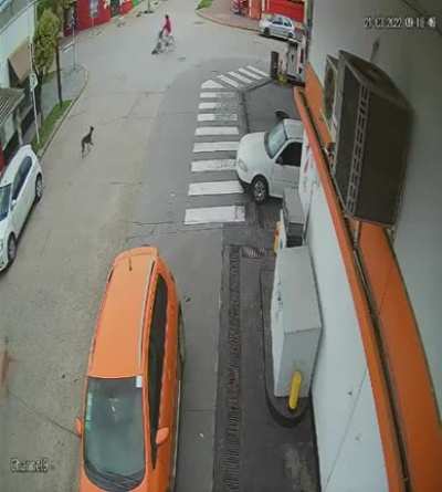 Ranchos: Ciclista es embestida por un ñandu en media calle