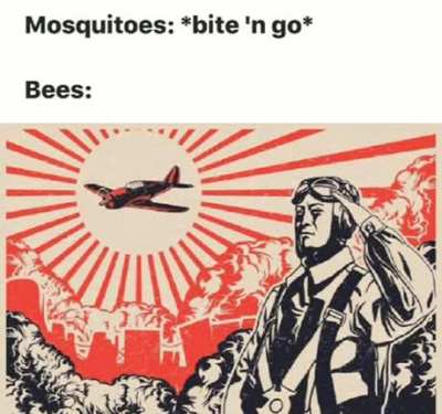 Brave bees...
