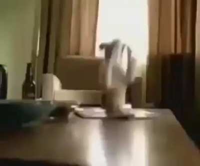 rip doggo