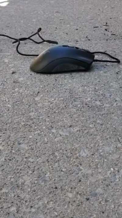 Thanks , I hate it ....Whatever this is