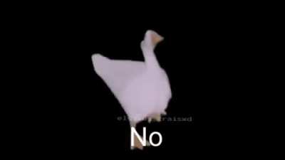 No