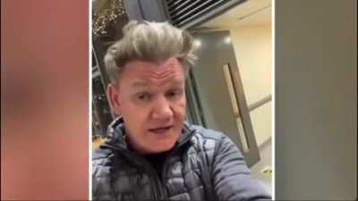 You horny bastard