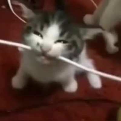 Video random