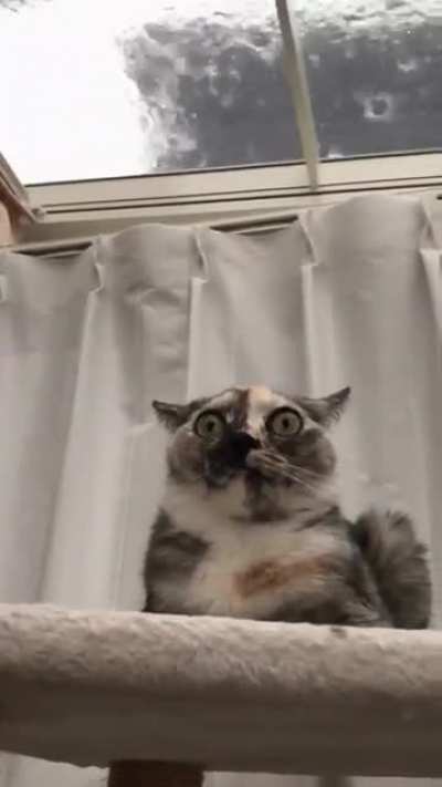 Ignore this post