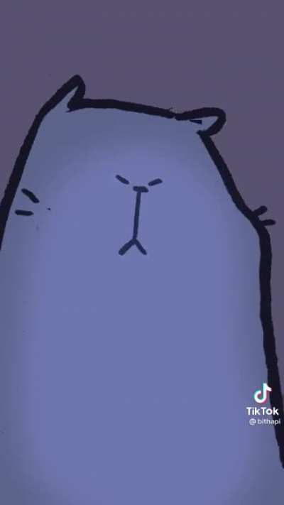 Cats at 3am.