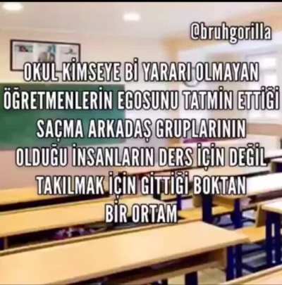 Olm &ccedil;ok iyi lan