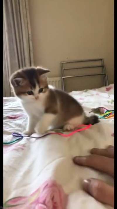 He will mess you up