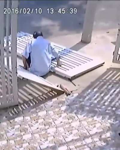 Gate flamingo