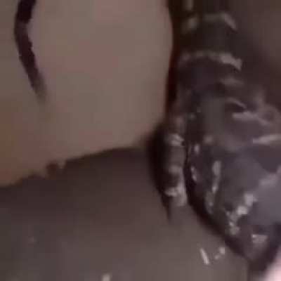 *Emoji descrbiendo todo lo que pasa en este conjunto de im&aacute;genes en movimiento de duraci&oacute;n de 8 minutos*